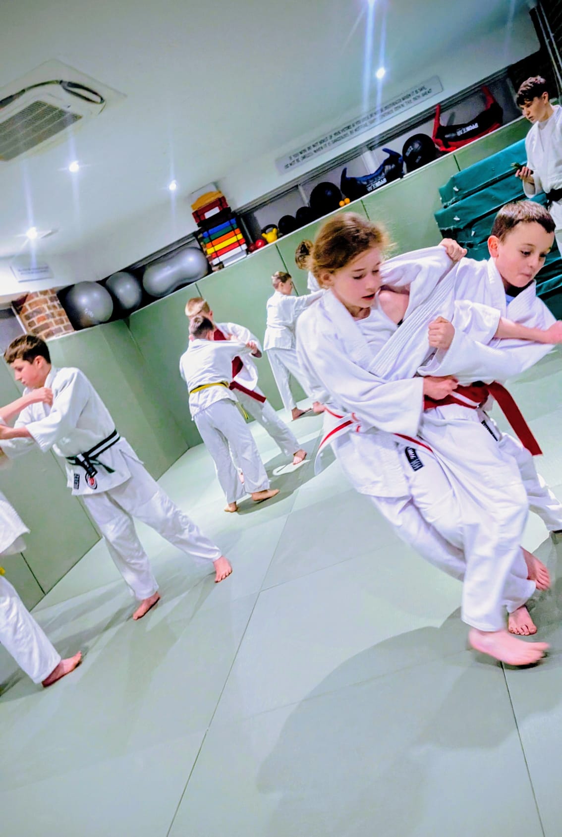 Ely Dojo